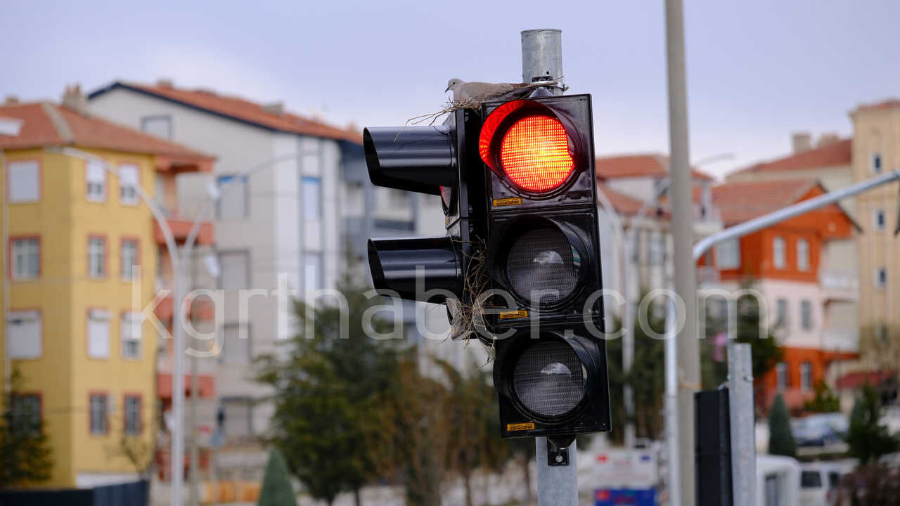 Kumru Trafik Işıklarını Mesken Tuttu Kumrunun Yuvası Görenleri Şaşırtıyor3