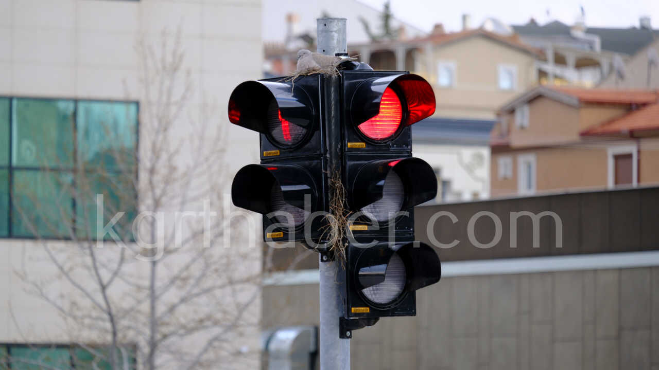 Kumru Trafik Işıklarını Mesken Tuttu Kumrunun Yuvası Görenleri Şaşırtıyor5