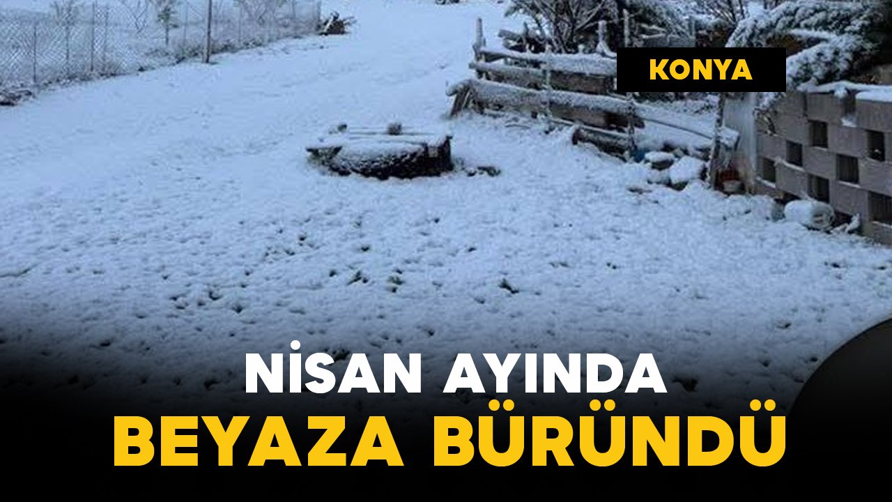 Nisan ayında kar yağdı: beyaza büründü