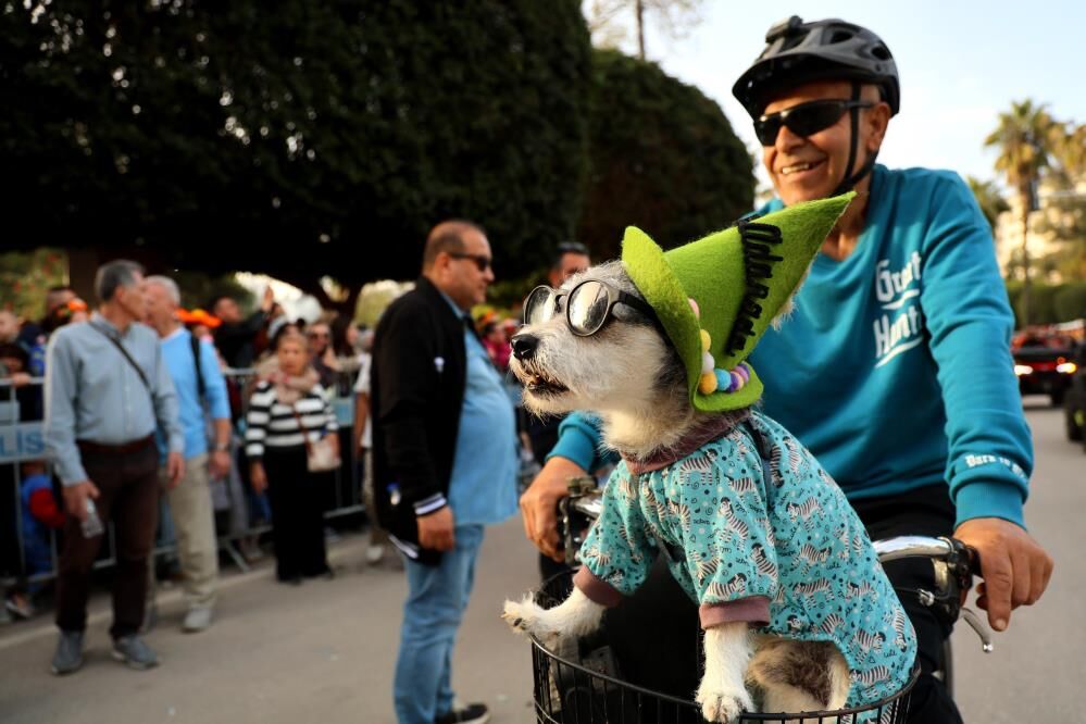 Portakal Cicegi Karnavalinda Renkli Goruntuler3