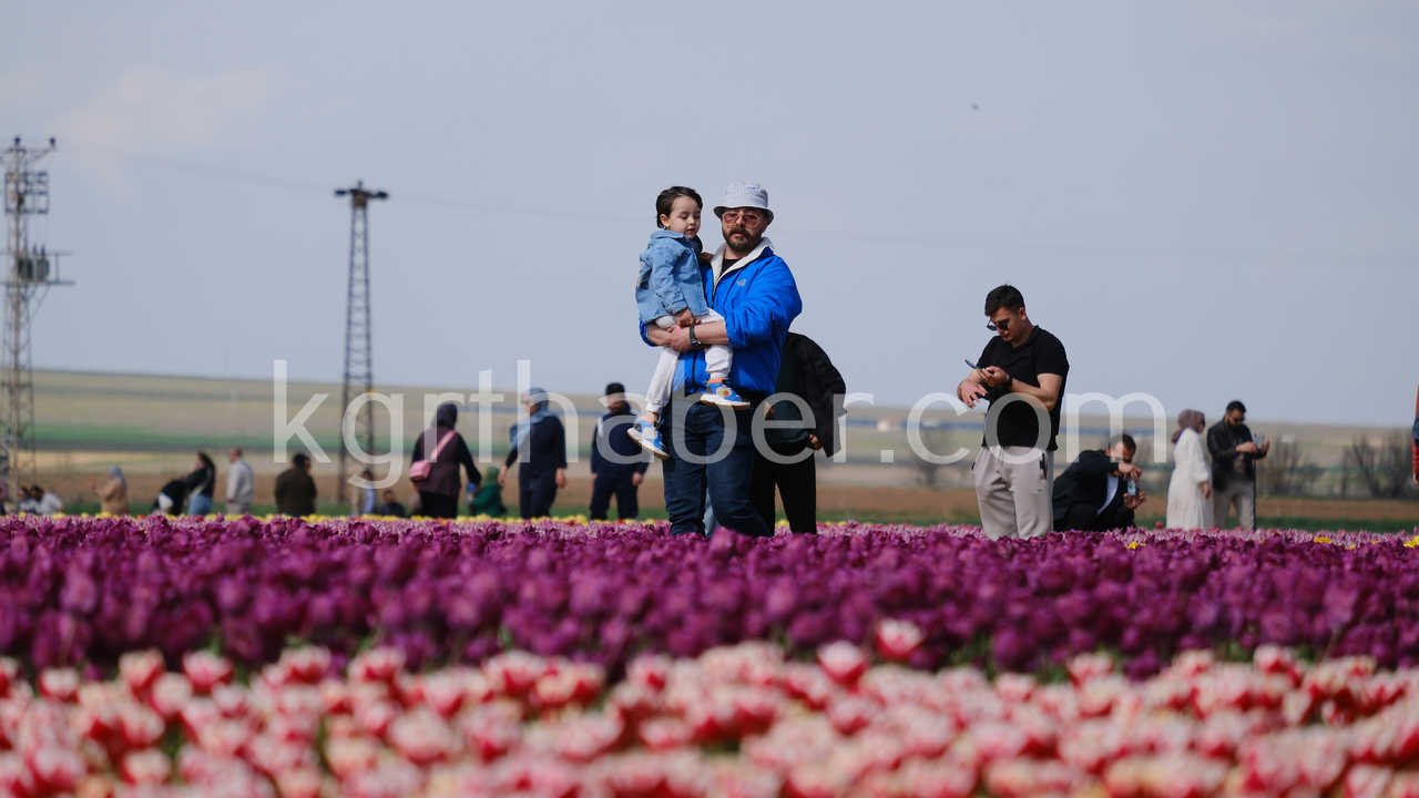 Turkiyenin En Buyuk Lale Tarlasinda Ziyaretci Rekoru4
