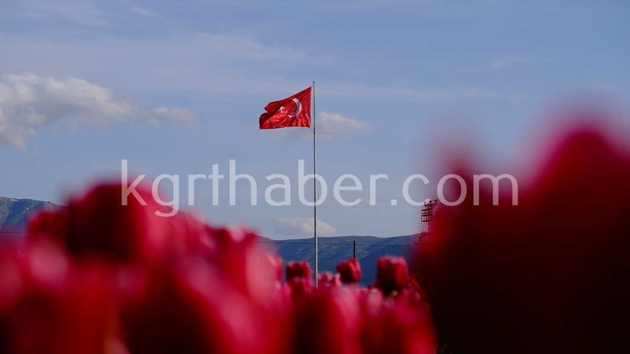 Turkiyenin En Buyuk Lale Tarlasinda Ziyaretci Rekoru7