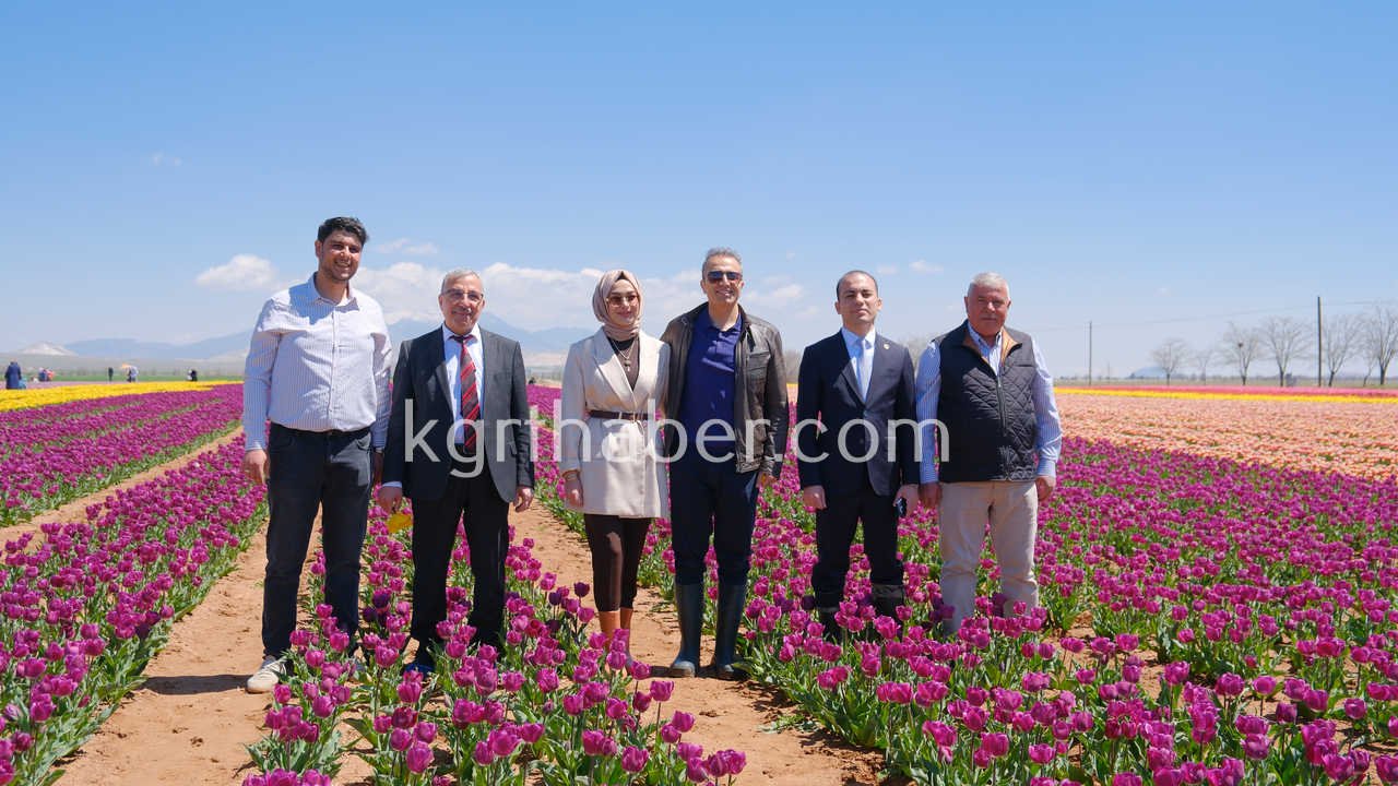 Vali Cicek Ve Il Protokolu Lale Tarlasini Gezdi1