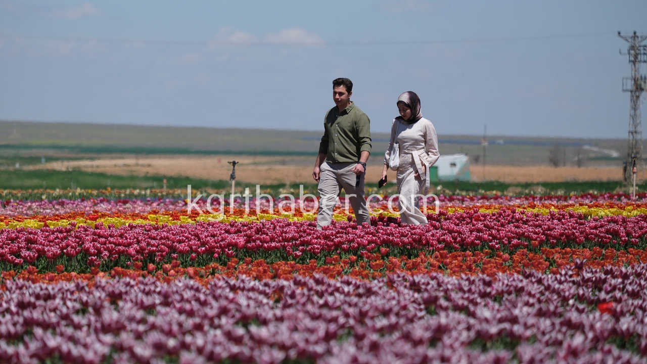 Vali Cicek Ve Il Protokolu Lale Tarlasini Gezdi10