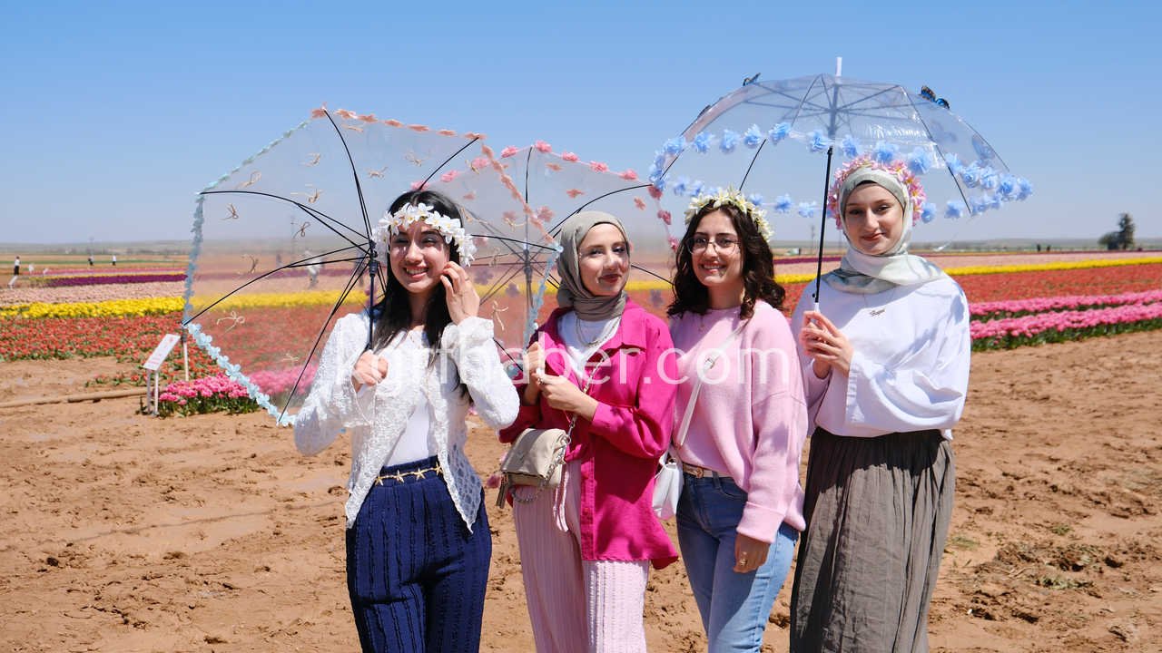 Vali Cicek Ve Il Protokolu Lale Tarlasini Gezdi13