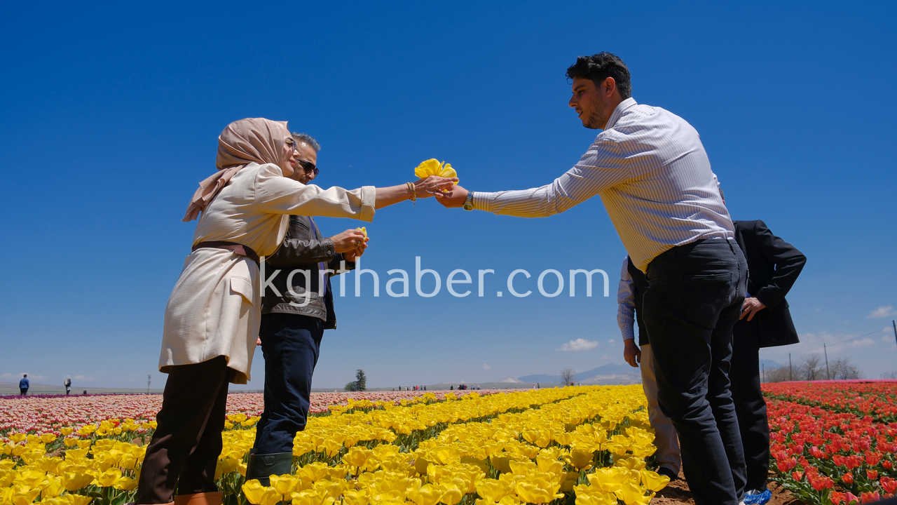 Vali Cicek Ve Il Protokolu Lale Tarlasini Gezdi16