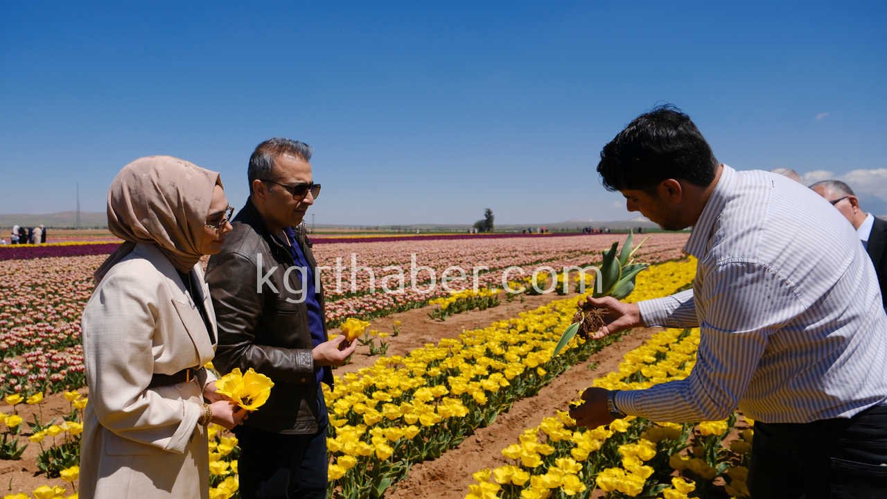 Vali Cicek Ve Il Protokolu Lale Tarlasini Gezdi18