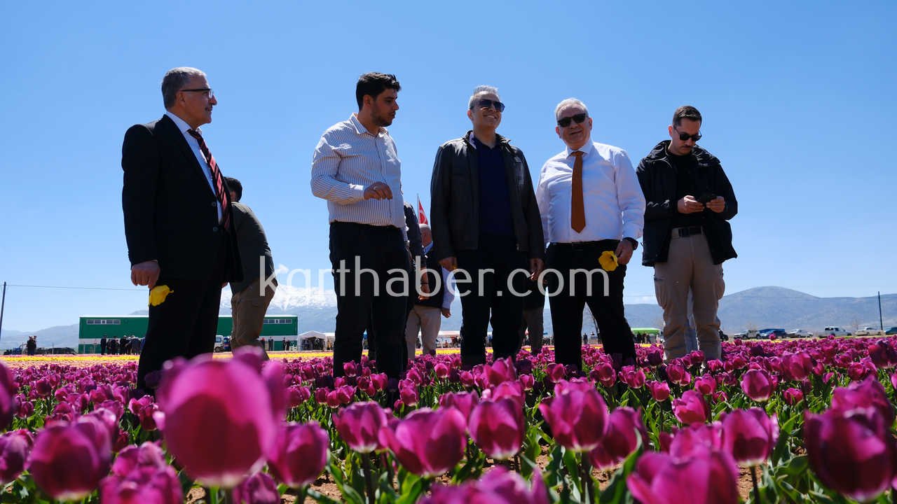 Vali Cicek Ve Il Protokolu Lale Tarlasini Gezdi2