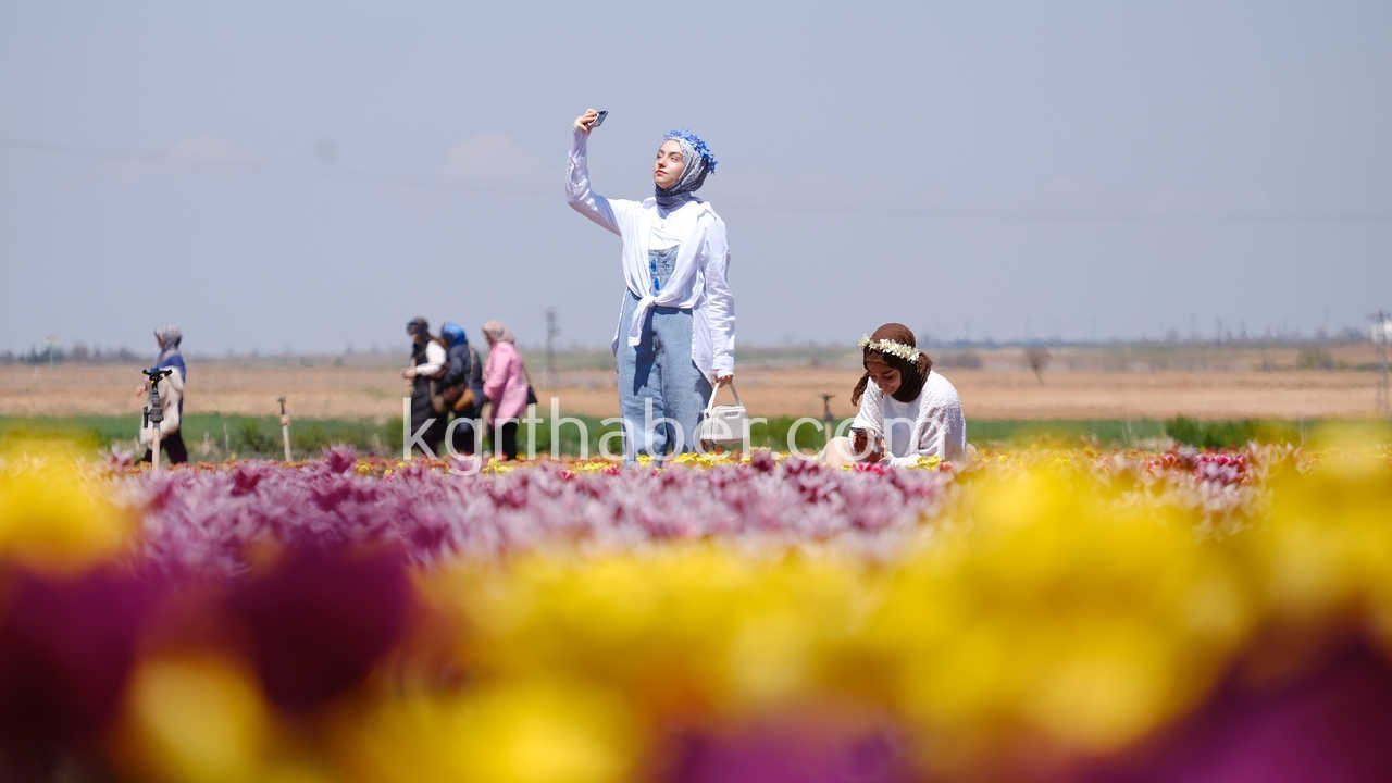 Vali Cicek Ve Il Protokolu Lale Tarlasini Gezdi5