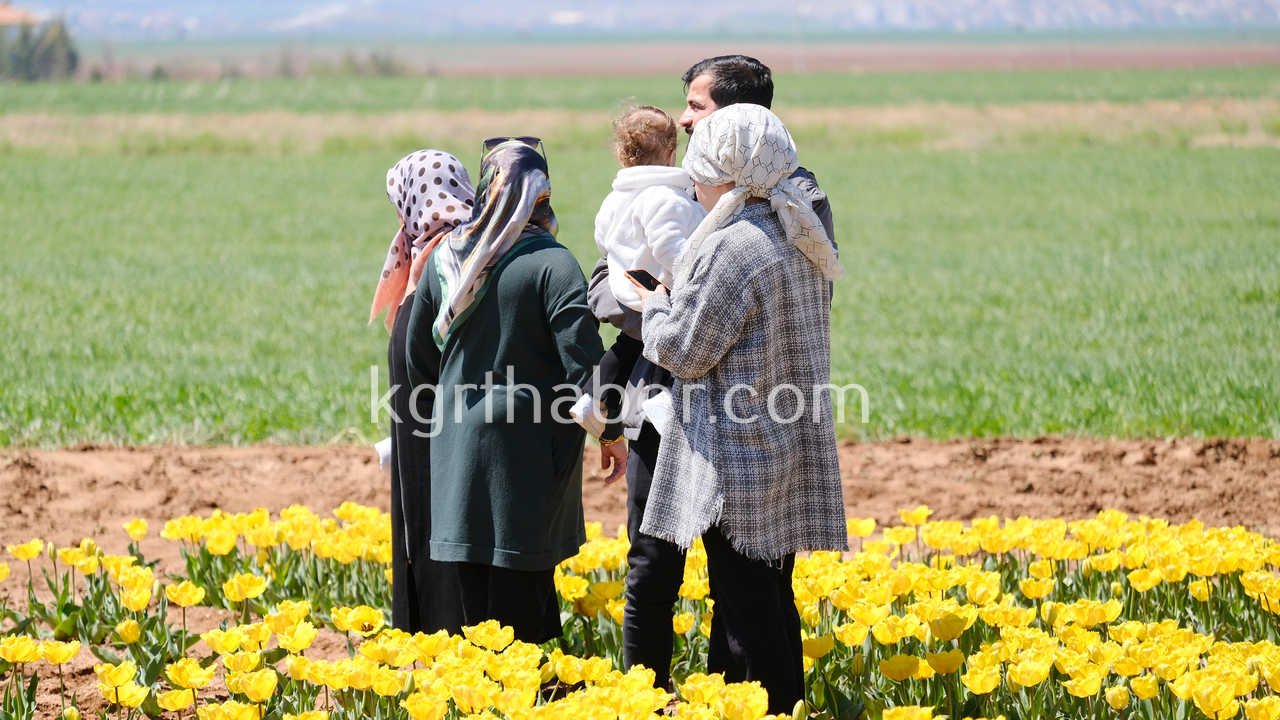 Vali Cicek Ve Il Protokolu Lale Tarlasini Gezdi6