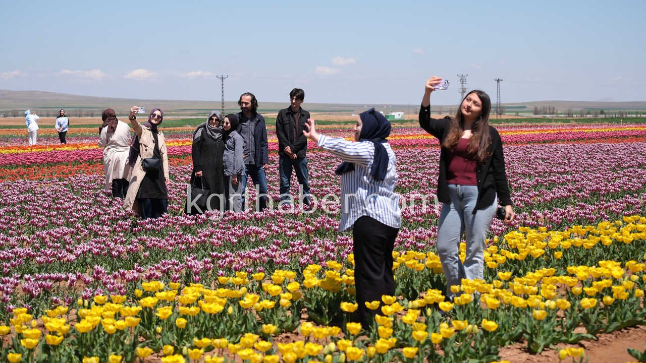 Vali Cicek Ve Il Protokolu Lale Tarlasini Gezdi8