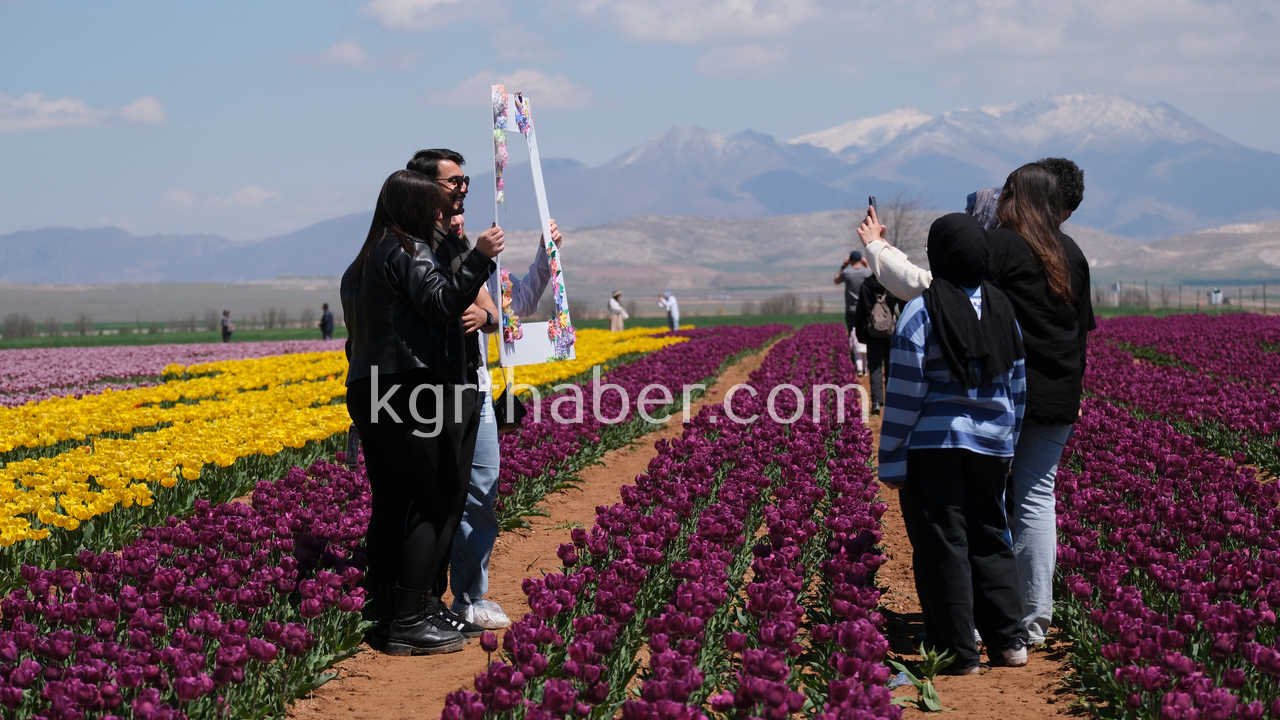 Vali Cicek Ve Il Protokolu Lale Tarlasini Gezdi9
