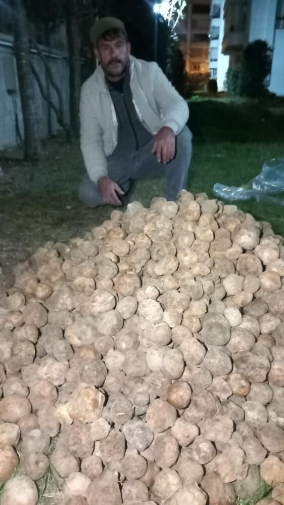 Dolaman Kurdu Gunluk 60 Bin Liralik Mantar Buluyor1