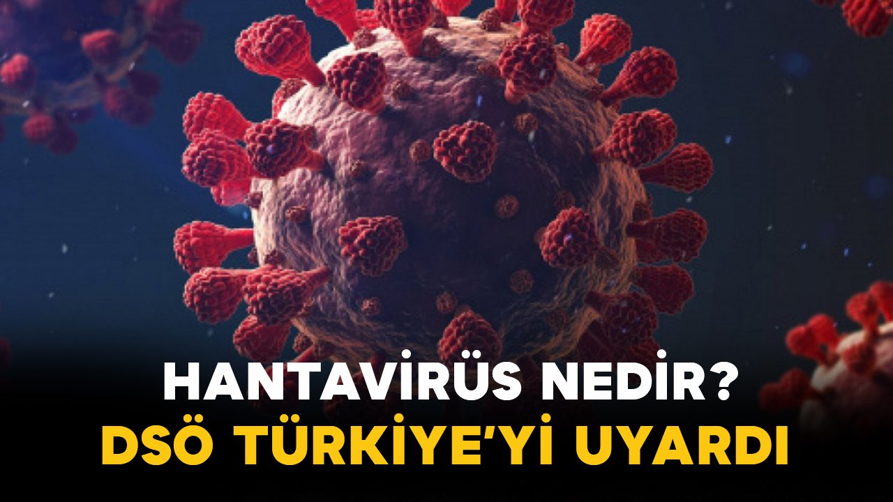 Hantavirüs Nedir? DSÖ’den Türkiye Dahil 12 Ülkeye Uyarı