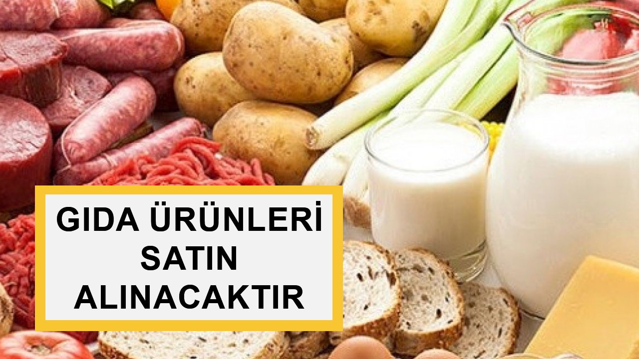 GIDA ÜRÜNLERİ SATIN ALINACAKTIR