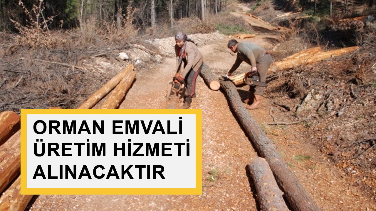 ORMAN EMVALİ ÜRETİM HİZMETİ ALINACAKTIR