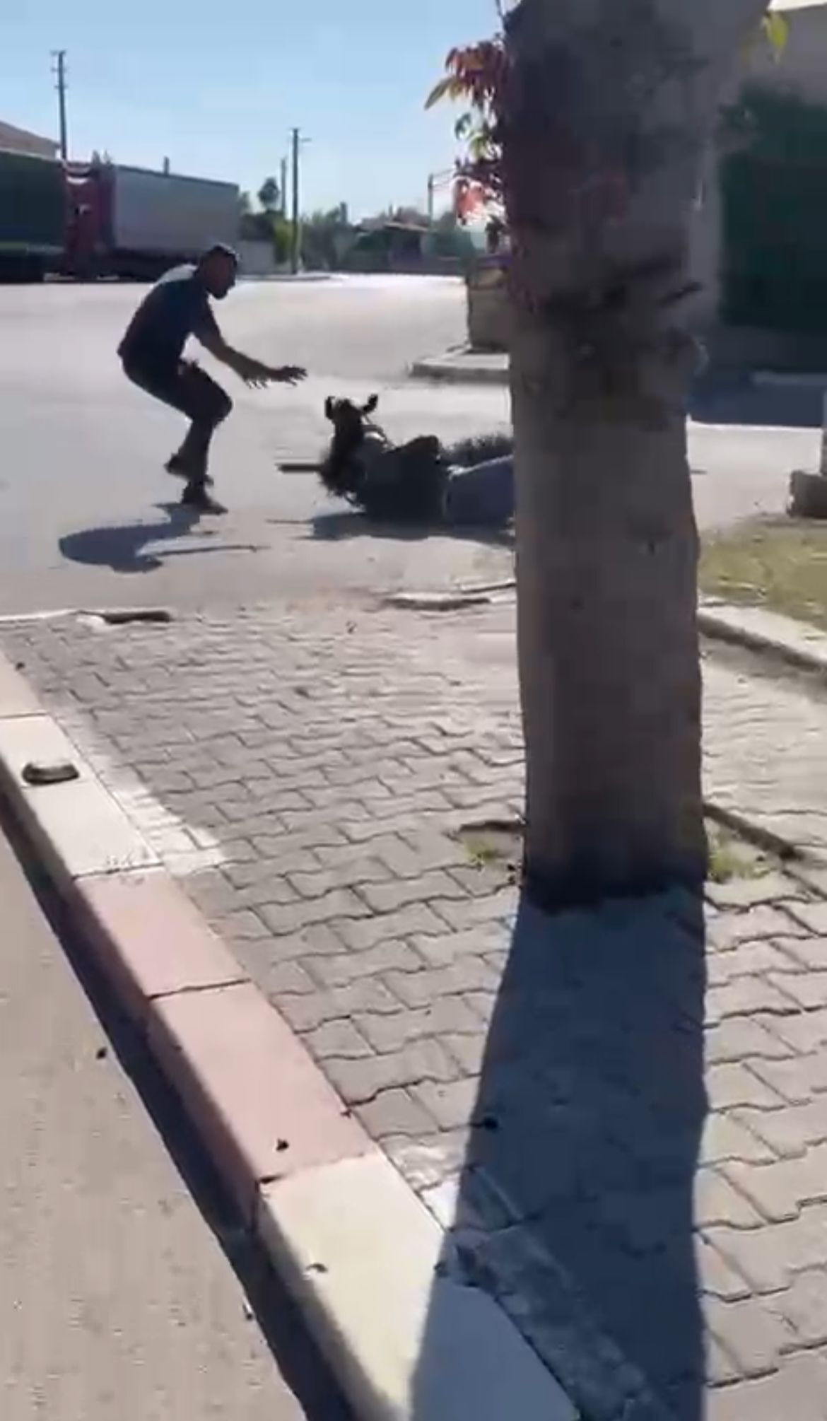 Karamanda Kacan Kurbanlik Keci Hareketli Anlar Yasatti (1)