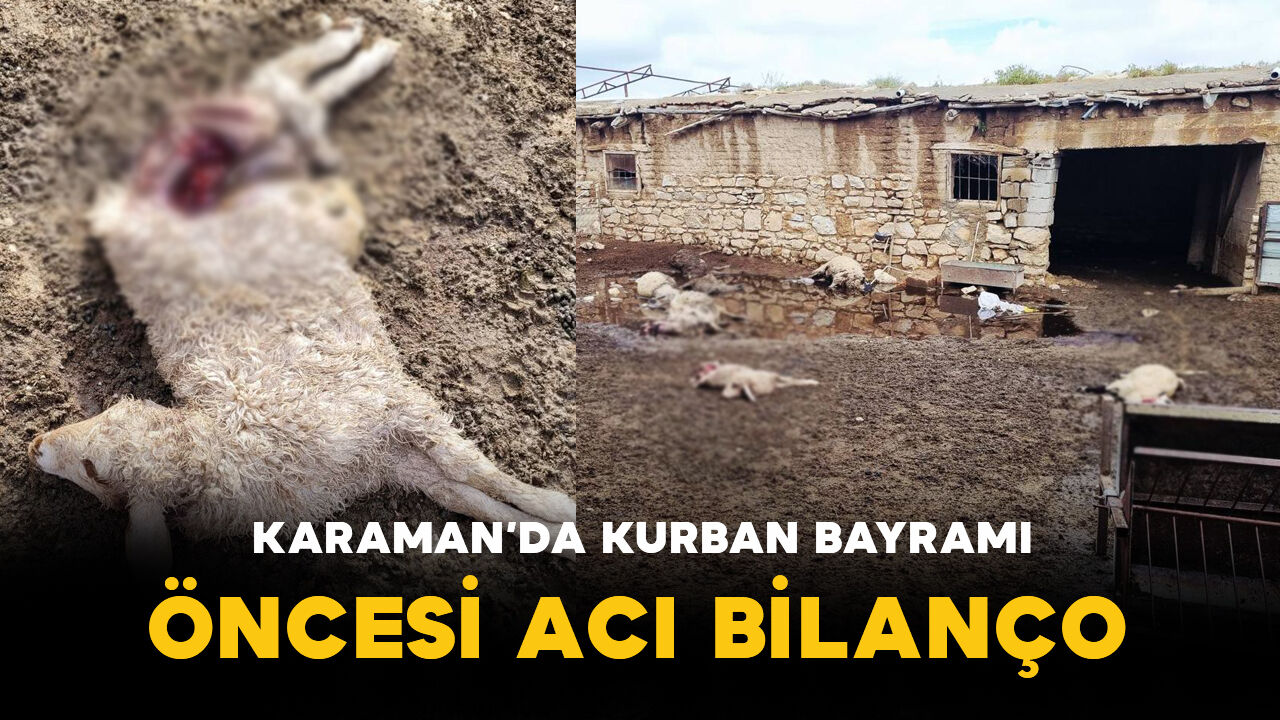 Karaman'da Kurban Bayramı Öncesi Acı Bilanço
