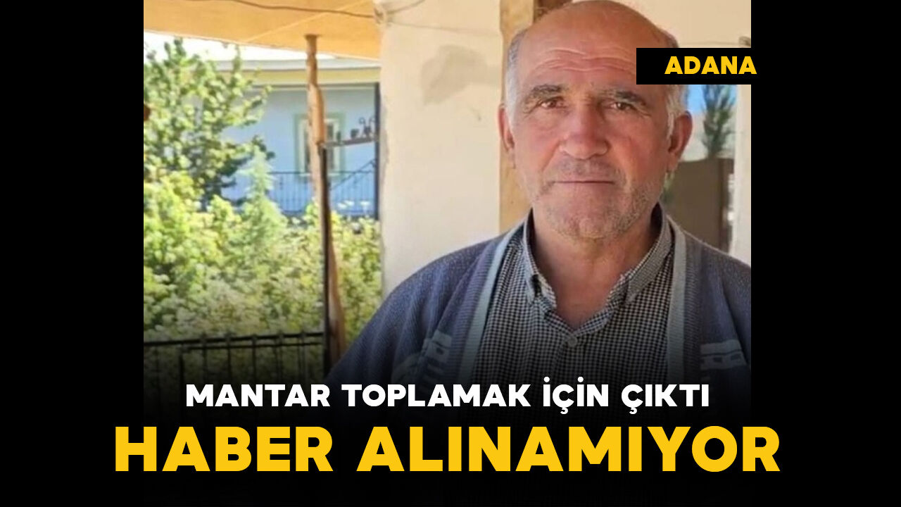 Mantar toplamak için çıktı haber alınamıyor