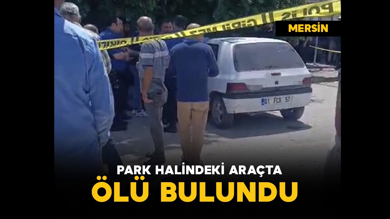 Park halindeki araçta ölü bulundu