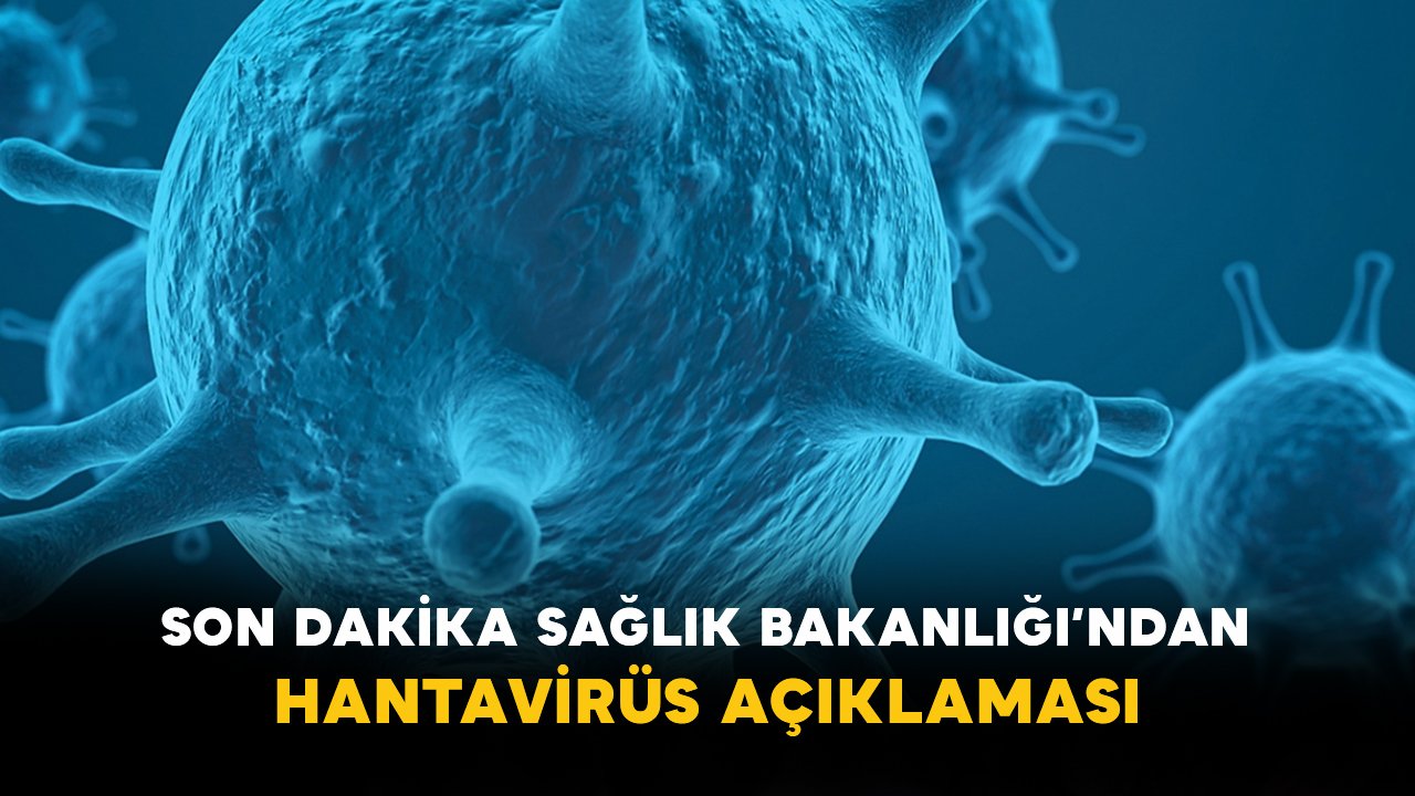 Son Dakika Sağlık Bakanlığı’ndan Hantavirüs Açıklaması