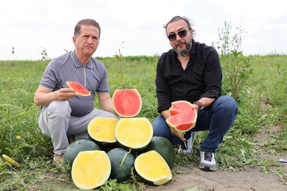 Bu Karpuzu Gorenler Hayrete Dusuyor1