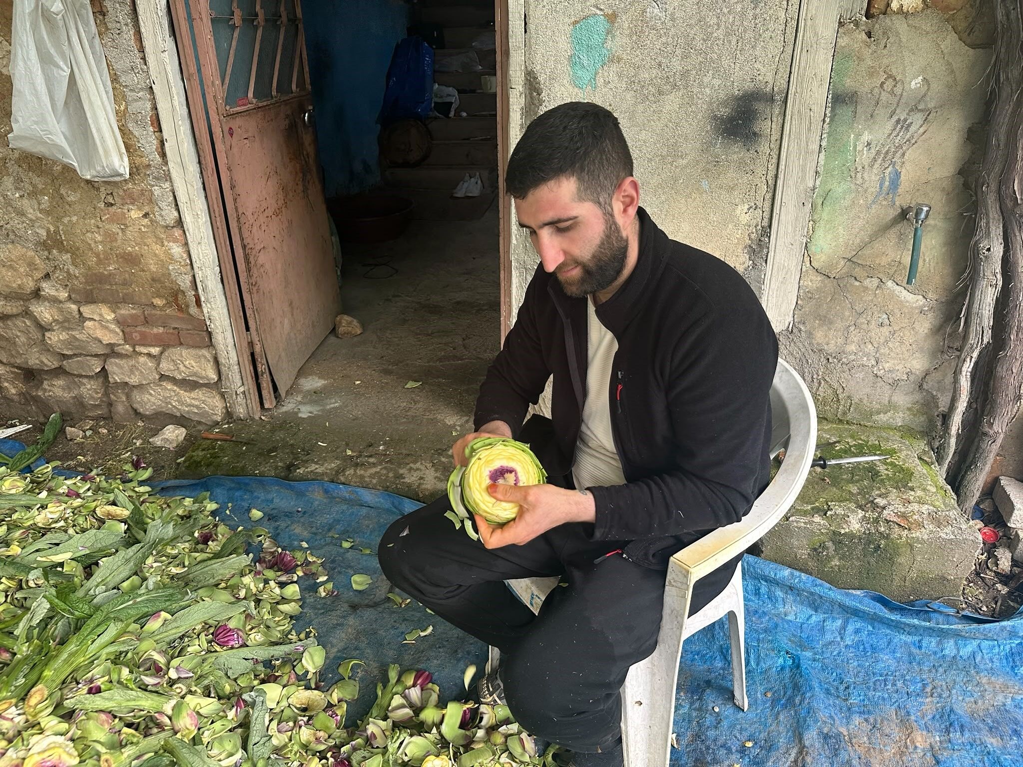 Enginar Soyarak Ayda 240 Bin Lira Kazaniyor (2)