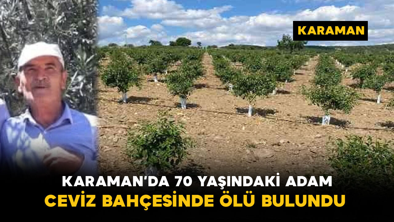 Karaman'da 70 yaşındaki adam ceviz bahçesinde ölü bulundu