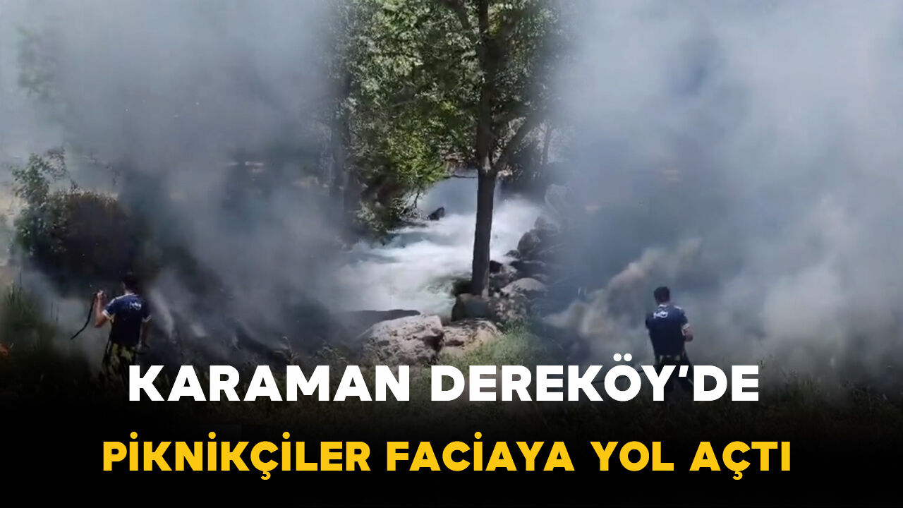 Karaman'da Piknik Alanında Yangın Paniği