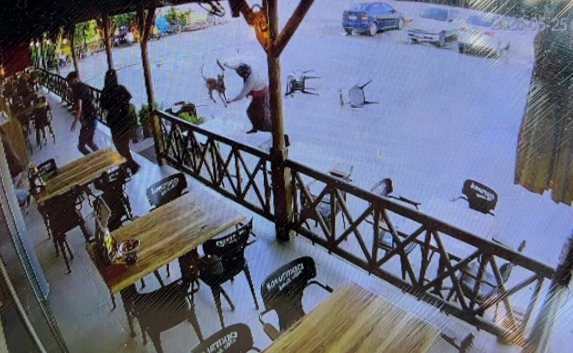 Tekmelere Ragmen Durmadi Kopek Saldirisinda Kadin Agir Yaralandi (3)