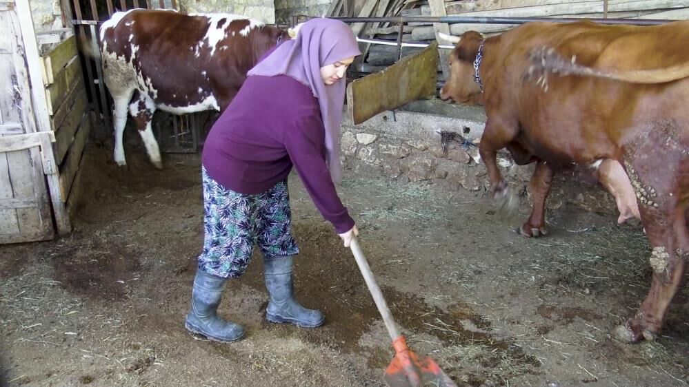 Zehranin Hayvan Sevgisi Sosyal Medyada Ilgi Odagi Oldu (2)