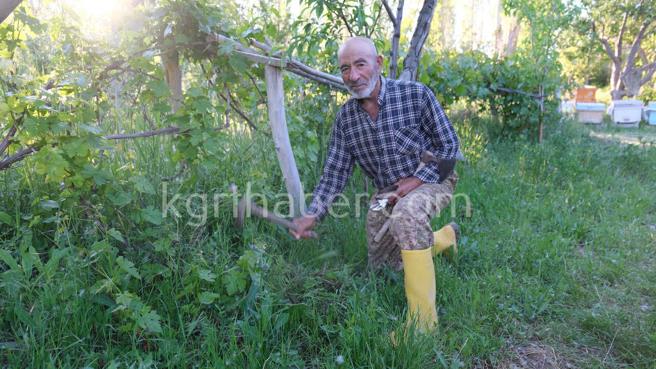 Bozkirin Ortasinda Yemyesil Vadi Bugdayli Koyu Bereketli Yili Yasiyor11