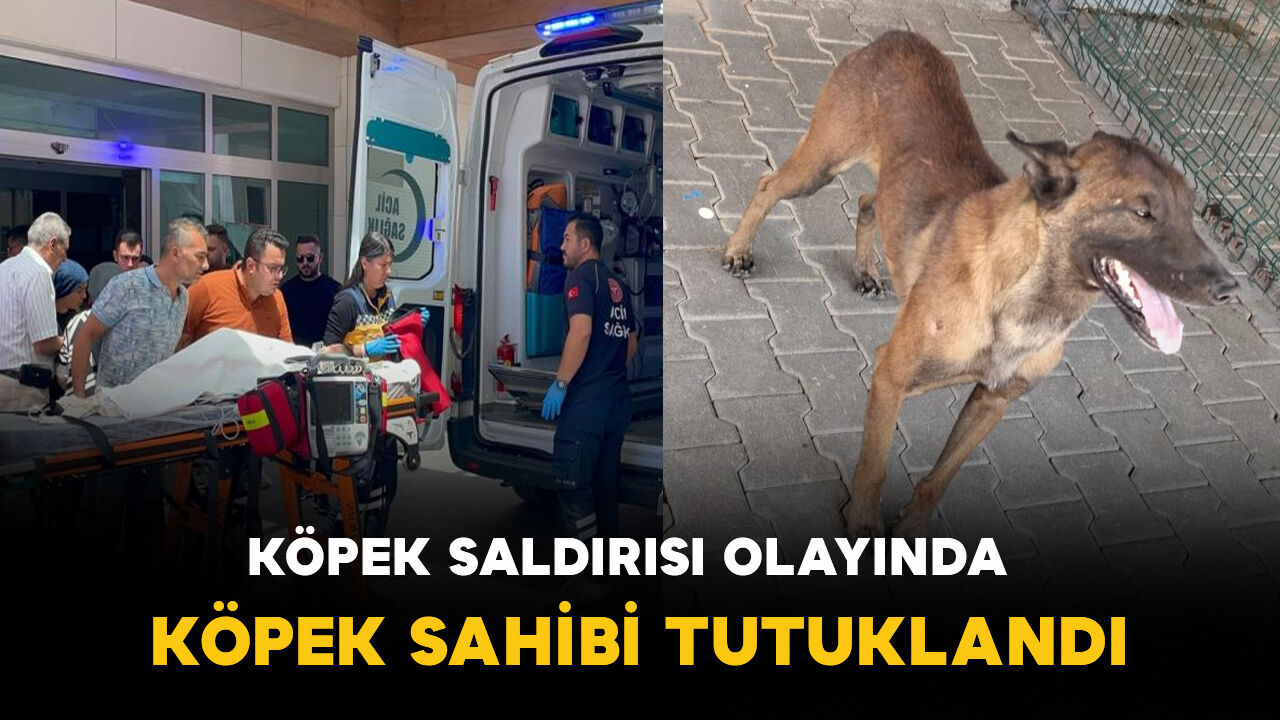 Karaman'da çocuğun köpeğin saldırısına uğradığı olaya ilişkin tutuklama