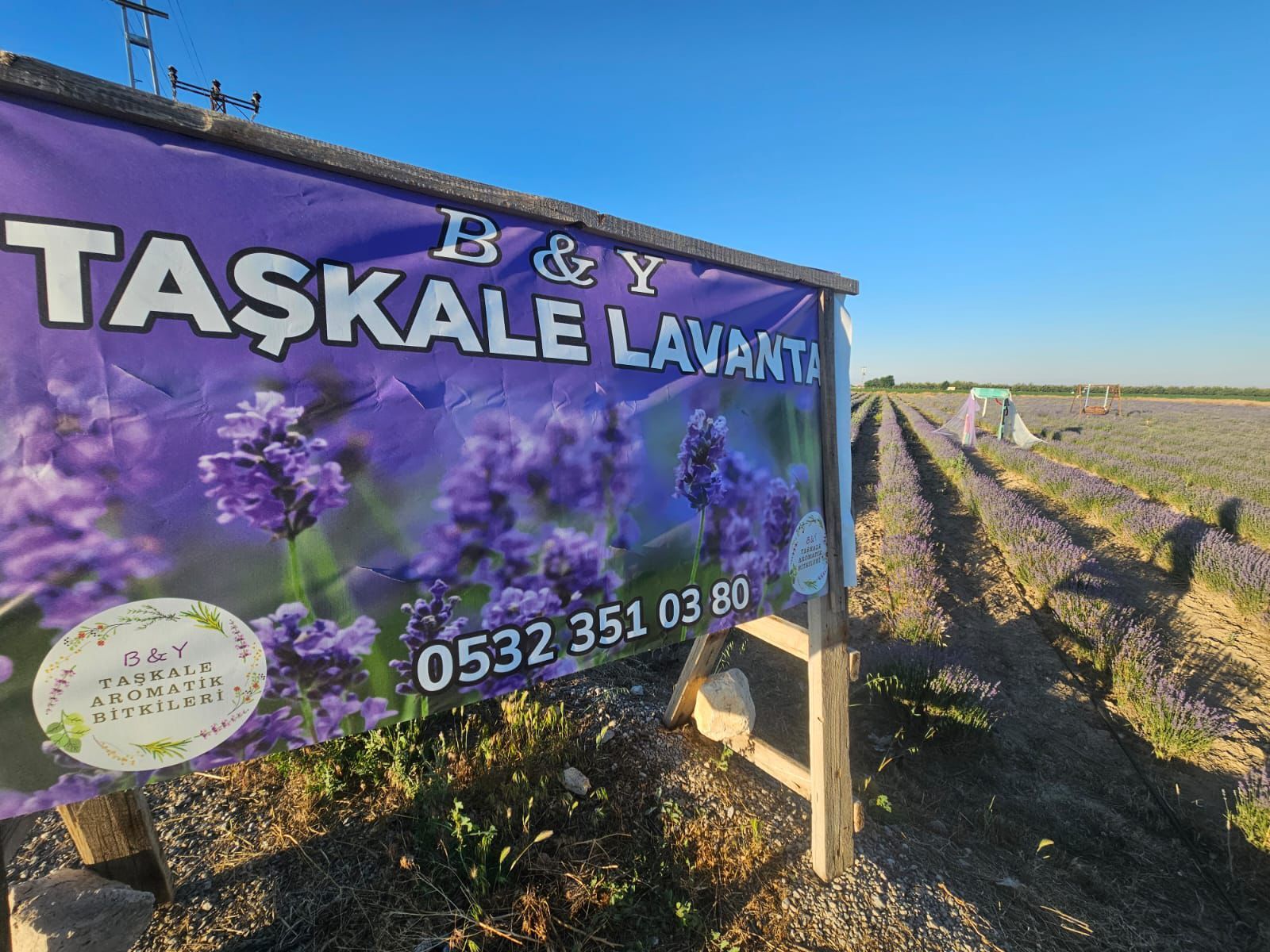 Karamanda Kurakliga Alternatif Olan Lavanta Bahcesi Kapilarini Ziyarete Acti (10)