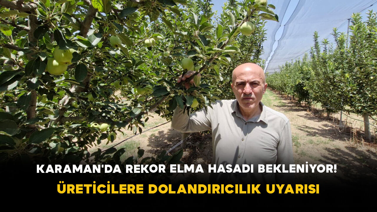 Karaman'da Rekor Elma Hasadı Bekleniyor! Üreticilere Dolandırıcılık Uyarısı