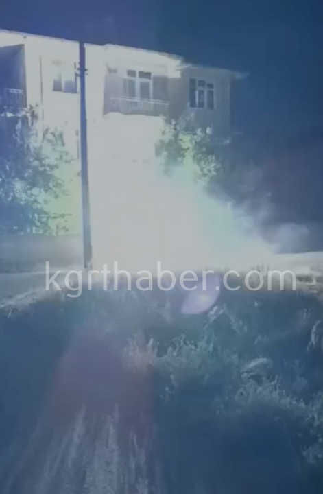 Kopan Elektrik Teli Otlari Tutusturdu Patlama Sesleri Panige Neden Oldu1