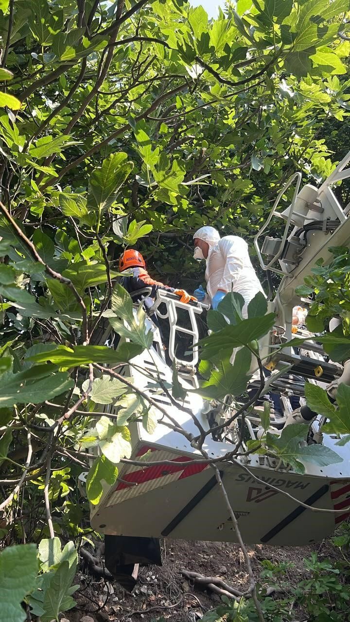 Kotu Koku Gercegi Ortaya Cikardi Agacta Cansiz Halde Bulundu (3)