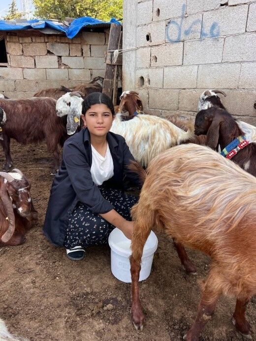 Babasinin Yukunu Aldi 16 Yasinda 5 Keciyle Basladi Suru Kurdu (1)