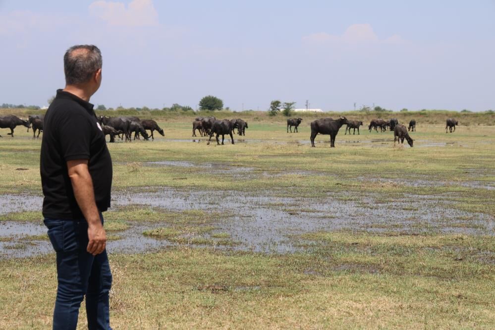 Burasi Afrika Degil Adana Mandalar Dereye Akin Etti (4)