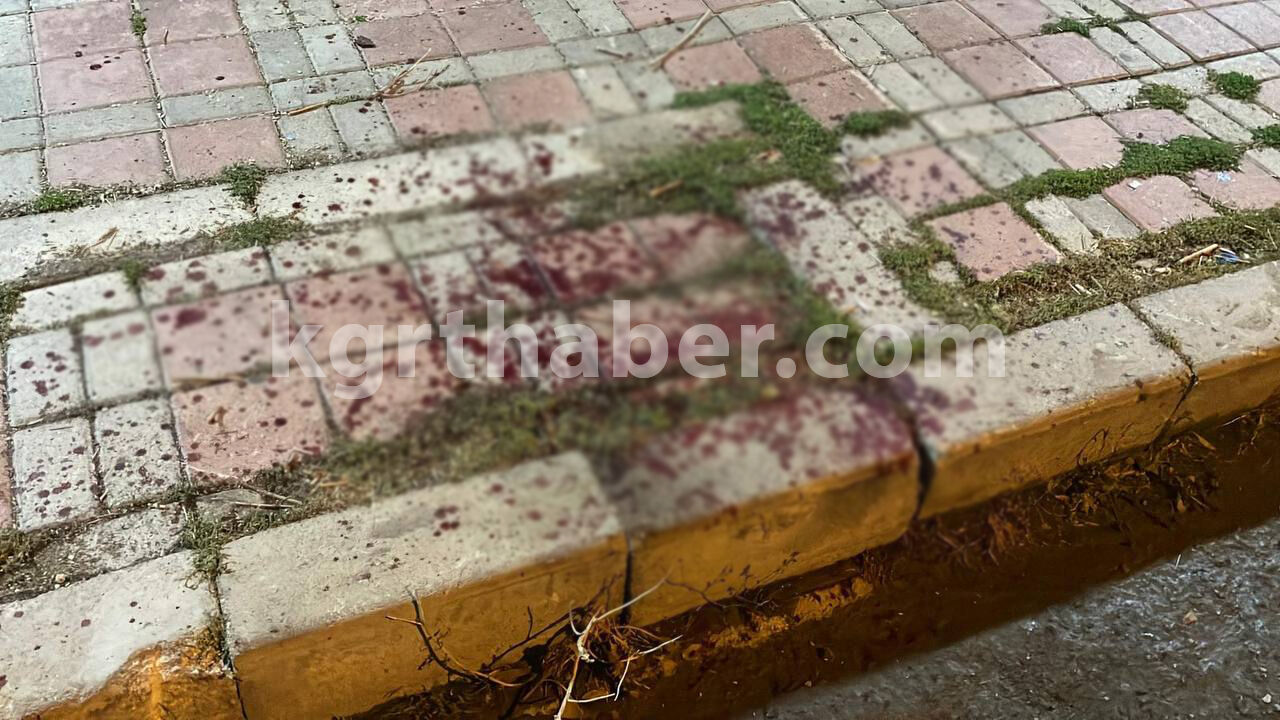 Karaman Son Dakika Yarali Genc Karakola Siginarak Yardim Istedi2