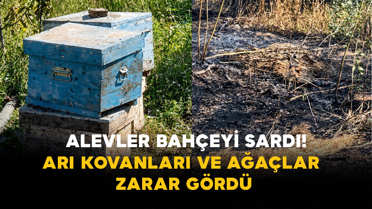 Karaman’da Alevler Bahçeyi Sardı! Arı Kovanları ve Ağaçlar Zarar Gördü