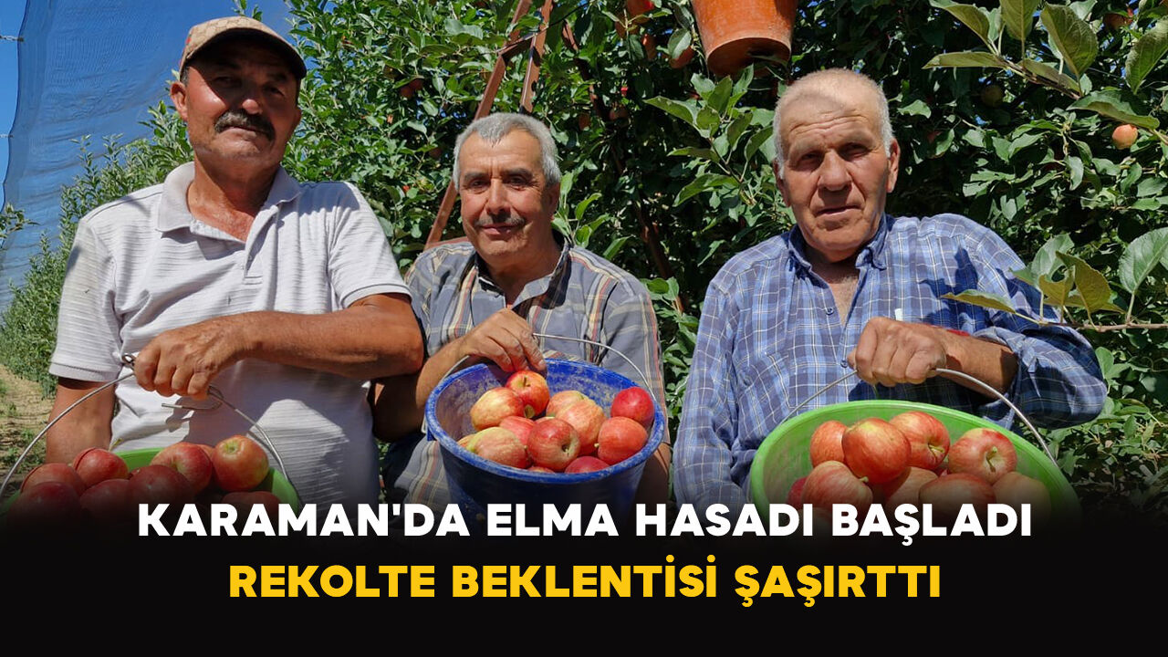 Karaman'da Elma Hasadı Başladı: Rekolte Beklentisi Şaşırttı