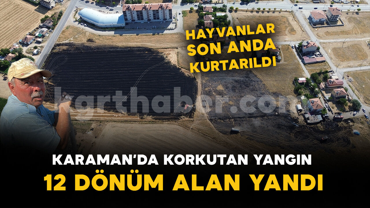 Otluk alanda çıkan yangın anıza sıçradı: 12 dönüm alan yandı