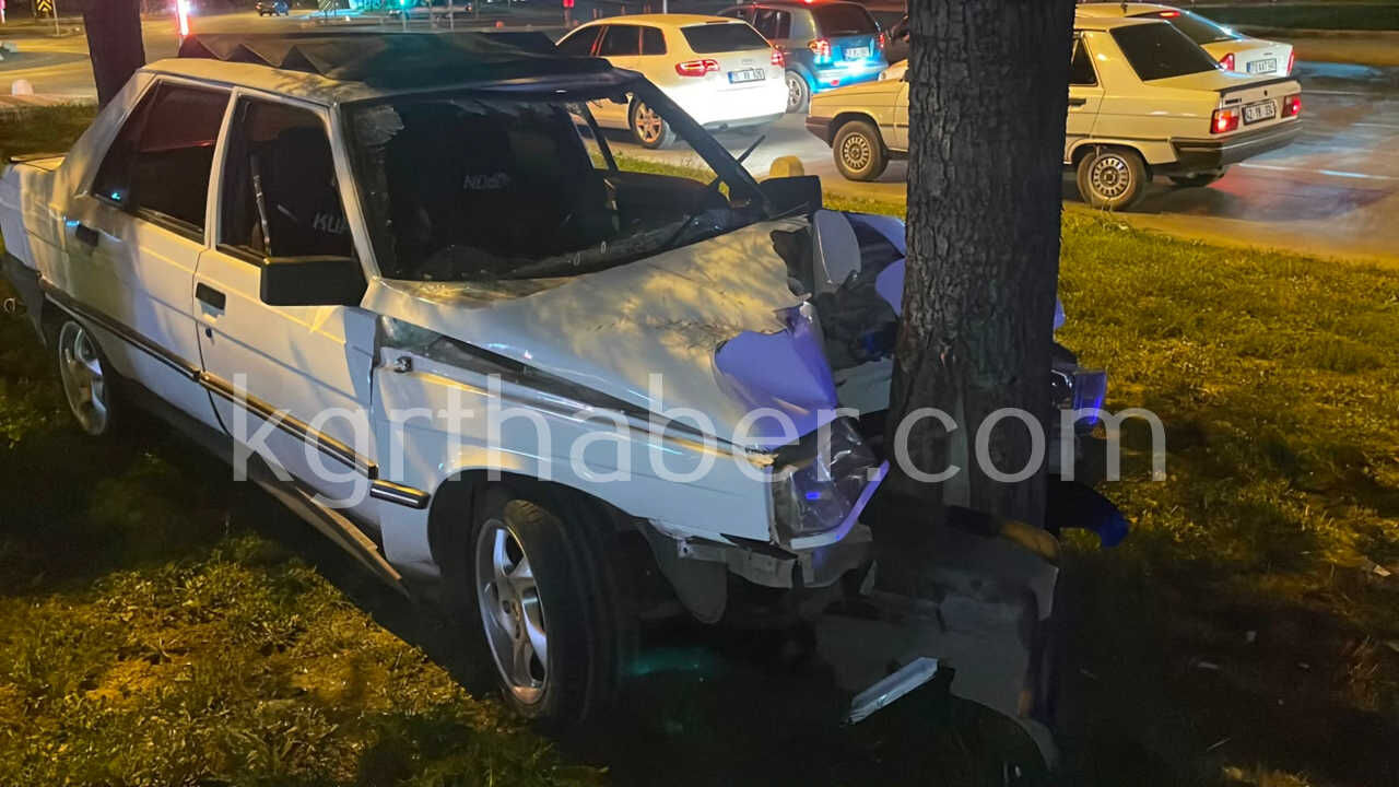 Viraji Alamayan Otomobil Agaca Carparak Durabildi 1 Yarali3