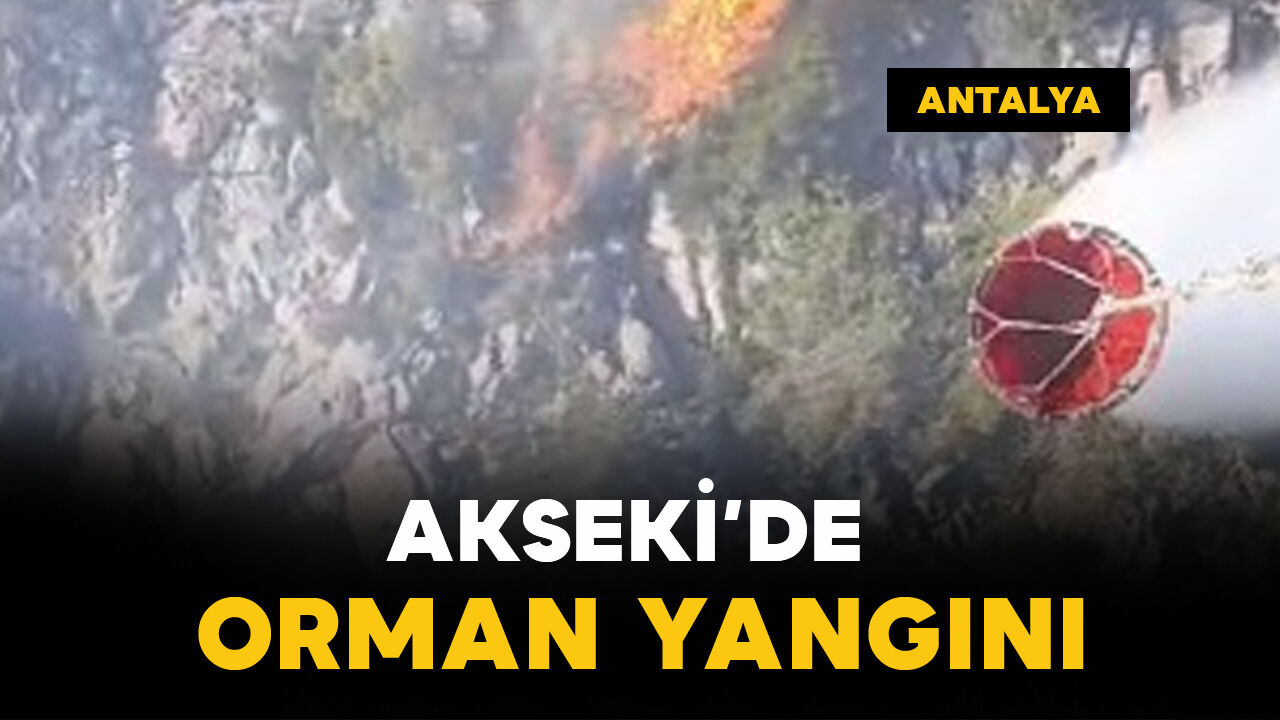 Asayiş
