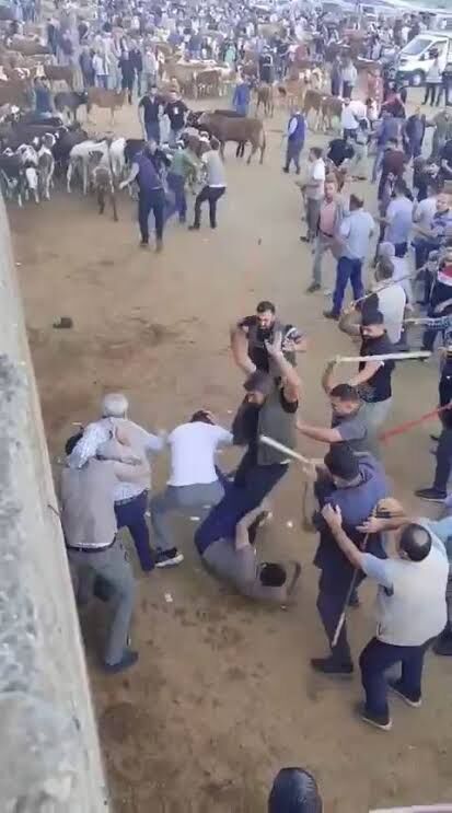 Hayvan Borsasinda Dehset Ortalik Savas Alanina Dondu (2)