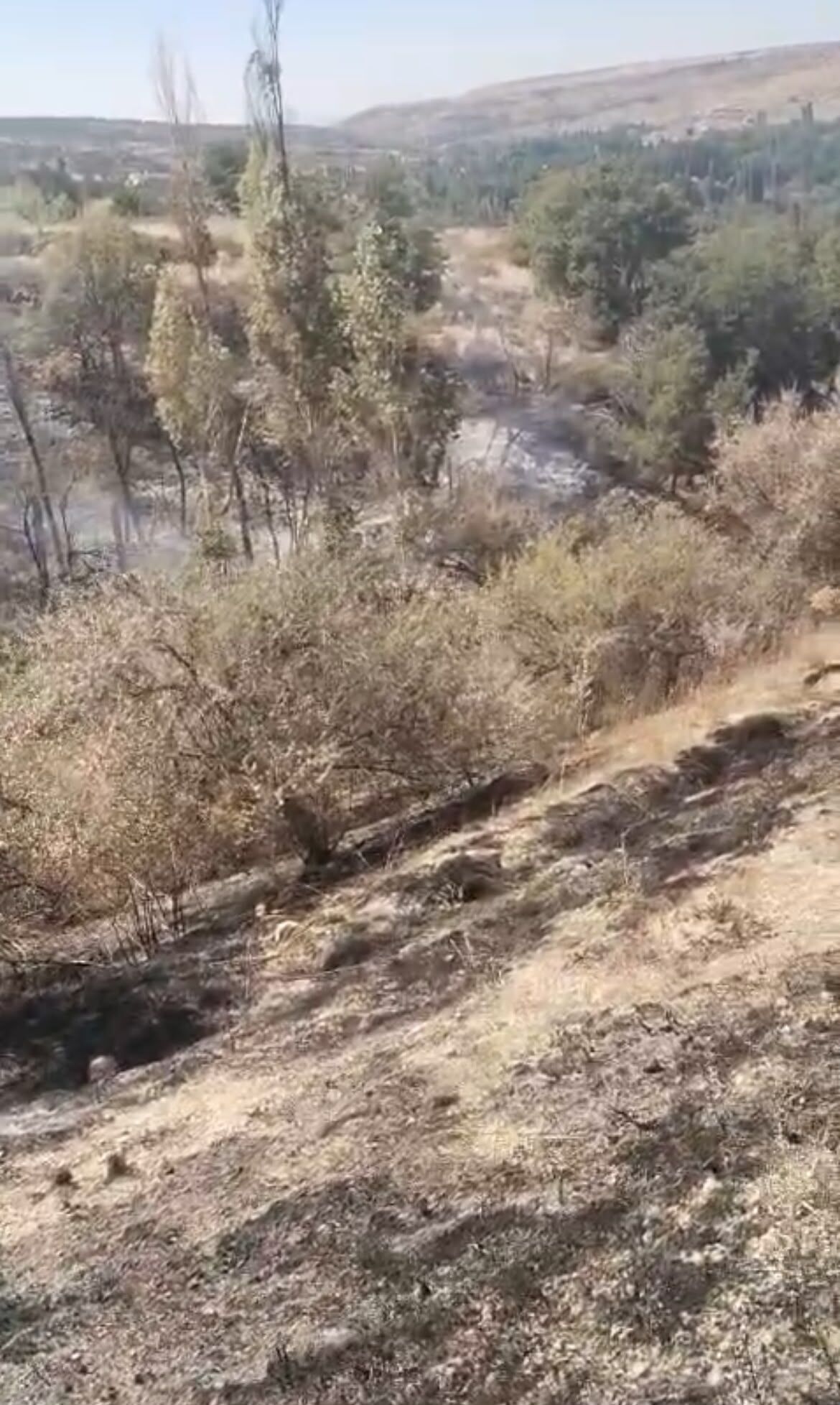 Karaman Yesilderede Korkutan Orman Yangini (4)