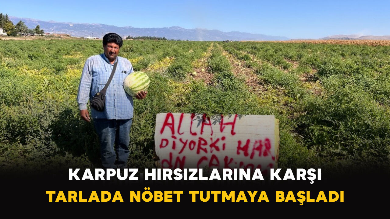 Karpuz Hırsızlarına Karşı Tarlada Nöbet Tutmaya Başladı