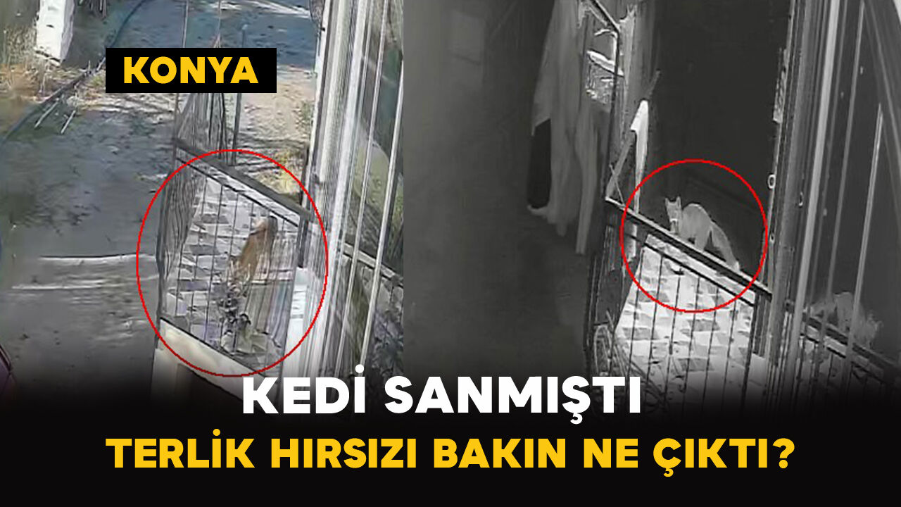 Genel