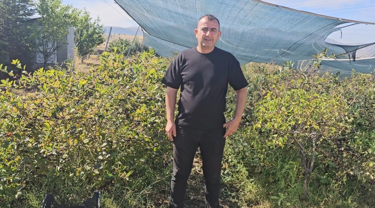 Konyada Aronya Hasadi Basladi (3)
